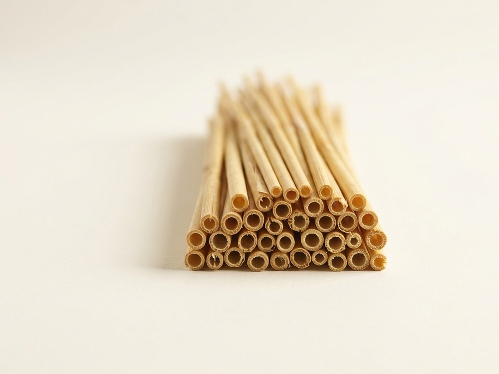 A small bundle of golden wheat straw stalks with the hollow cut ends facing the camera.